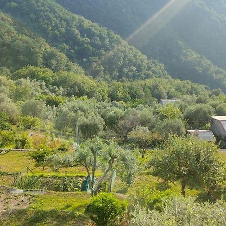Casa Di Arya Codice Citra Lt-0043 Lejlighed Vescina Eksteriør billede
